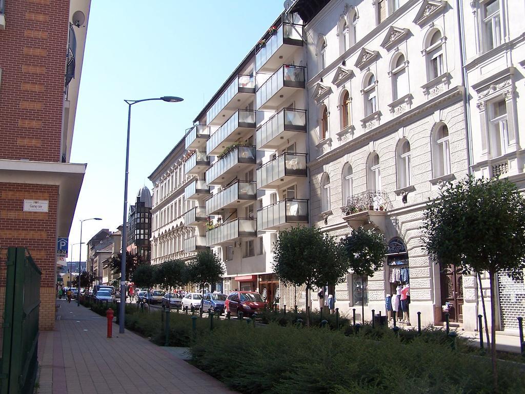 Apartment Sinko - Free Garage Parking, Central, 2 Bedrooms 4 Single Beds, Flexi Check-Out Будапешт Экстерьер фото